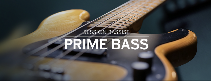 NI电贝斯 Native Instruments Session Bassist Prime Bass [ Kontakt ]-音频玩家