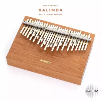 卡林巴乐器音源 PastToFutureReverbs Kalimba [ Kontakt ]-音频玩家