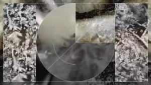 实验性吉他音源 Slate and Ash RUINS [ Kontakt ]-音频玩家